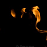 dailyPhoto23
